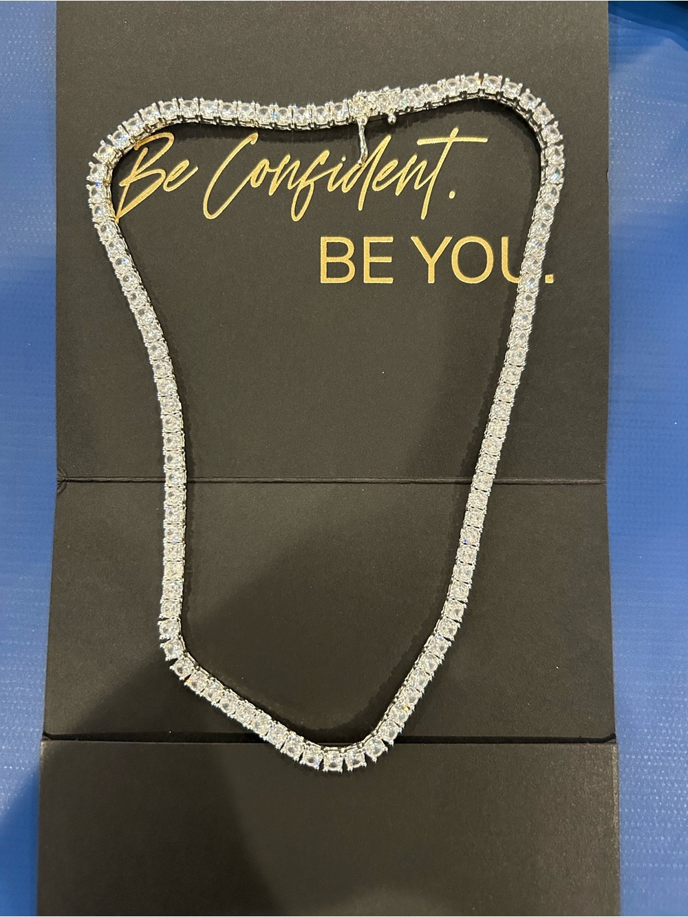 Miranda Frye Audrey 16” silver necklace